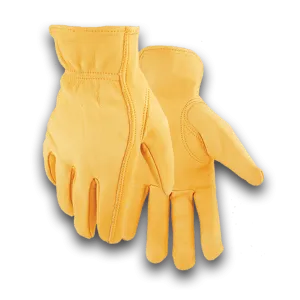 Best Winter Glove 842