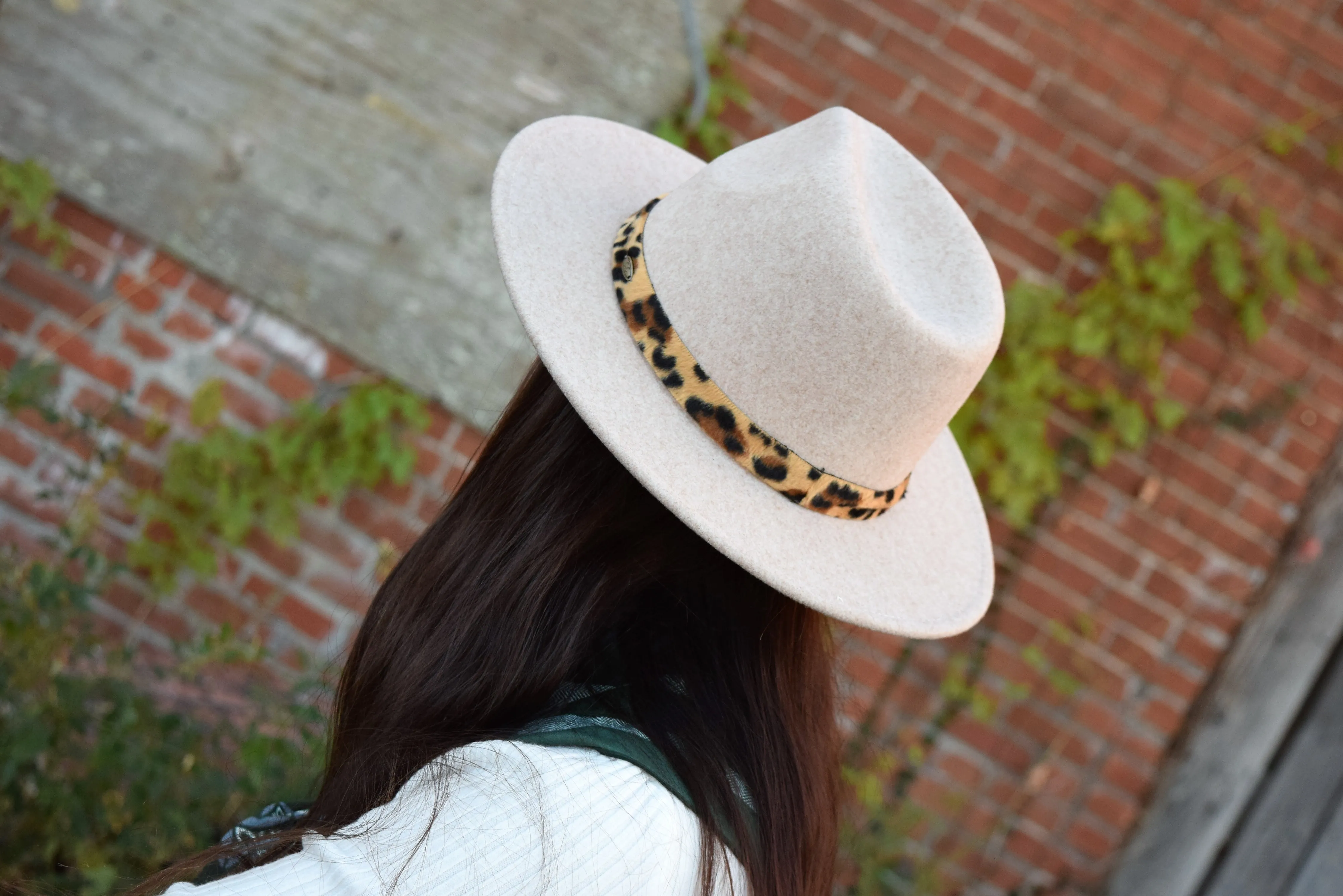 C.C. Leopard Trim Wool Felt Brim Hats